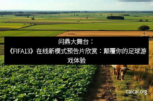 问鼎大舞台：《FIFA13》在线新模式预告片欣赏：颠覆你的足球游戏体验